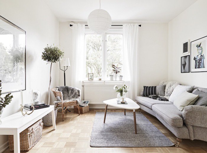 Salon scandinave avec canapé gris