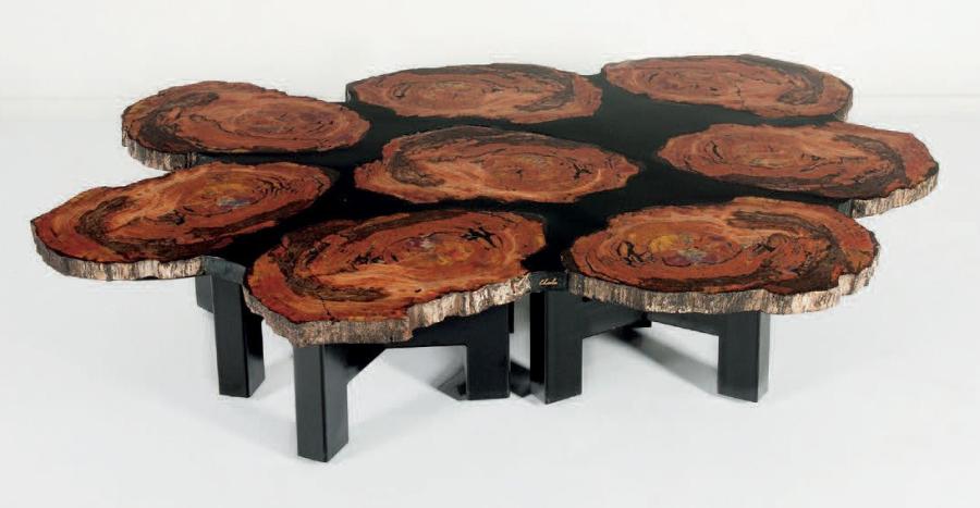 Table basse bois fossilisé