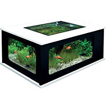 Acheter table basse aquarium pas cher