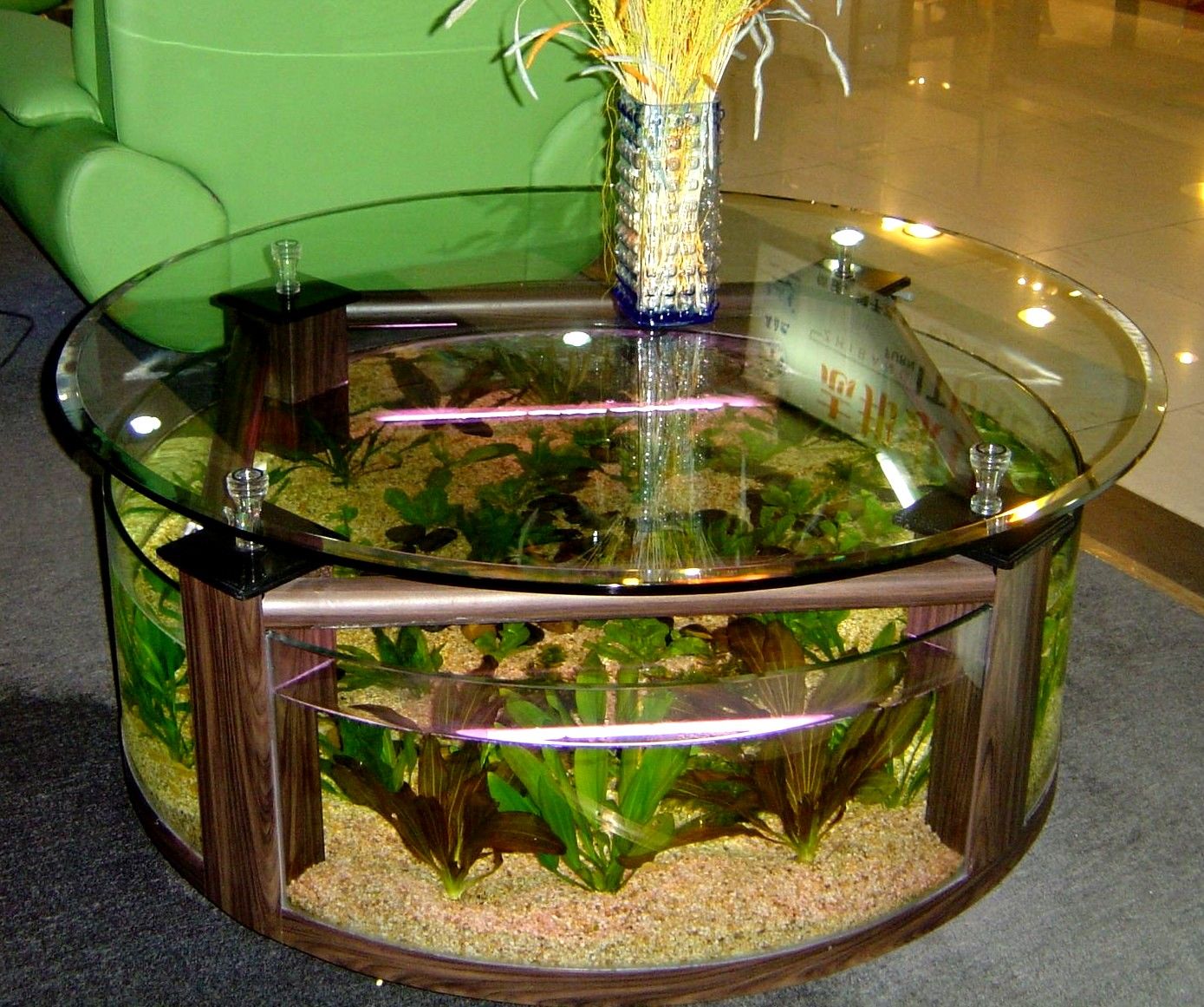 Table basse aquarium fait maison