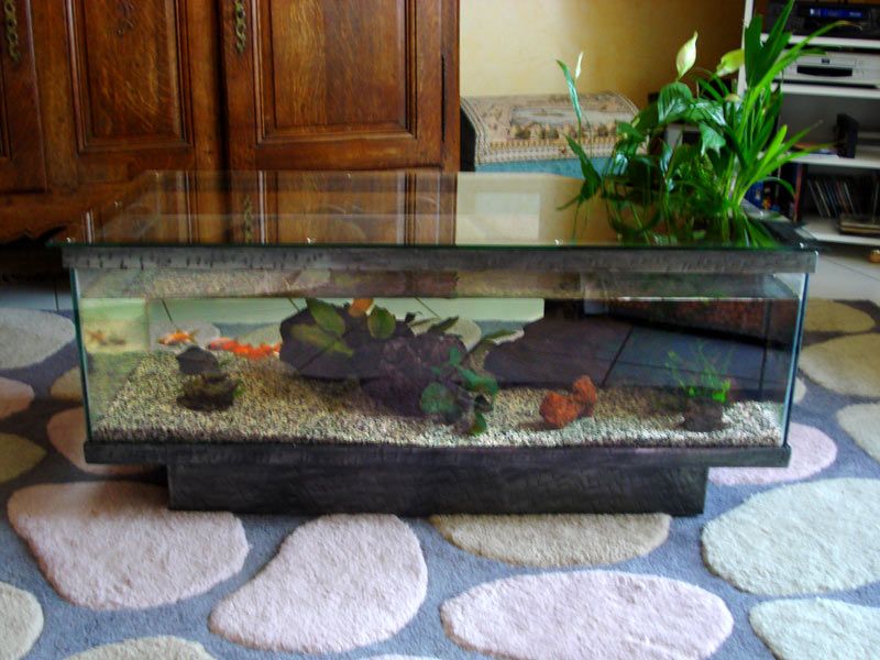 Table basse aquarium chine