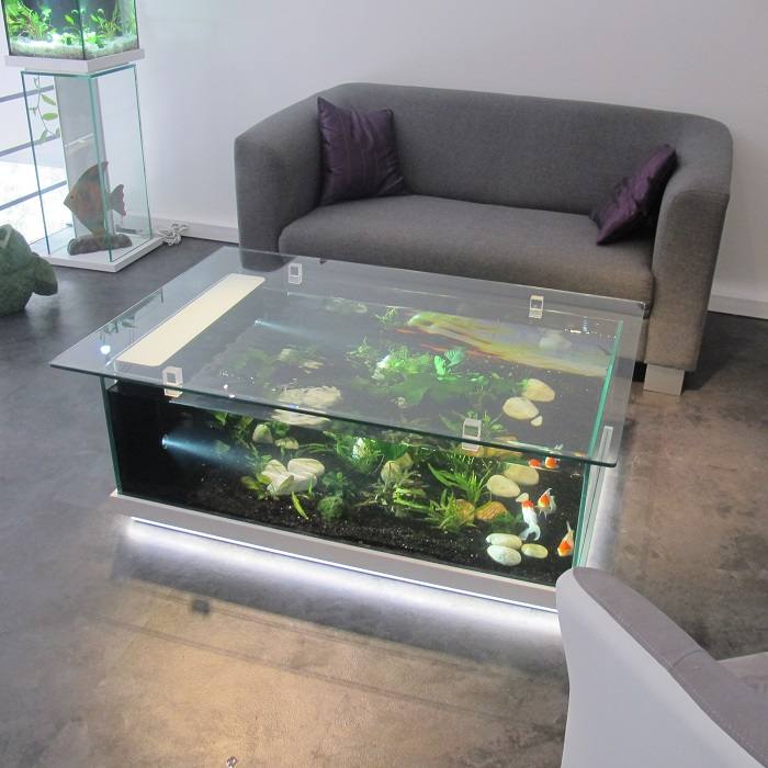 Une table basse aquarium