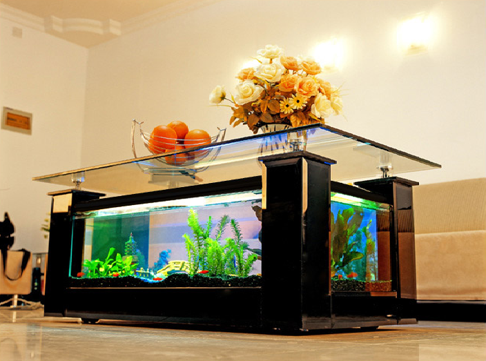 Table basse aquarium zen