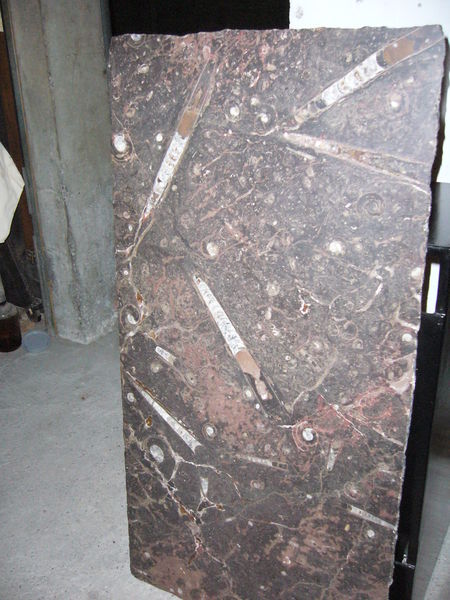 Table basse marbre fossilisé