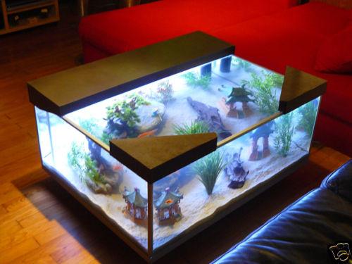 Table basse aquarium vitre