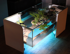 Aquarium table basse de salon aquatlantis