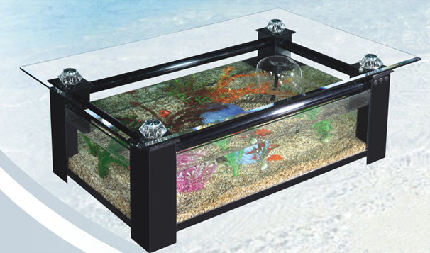 Creer table basse aquarium