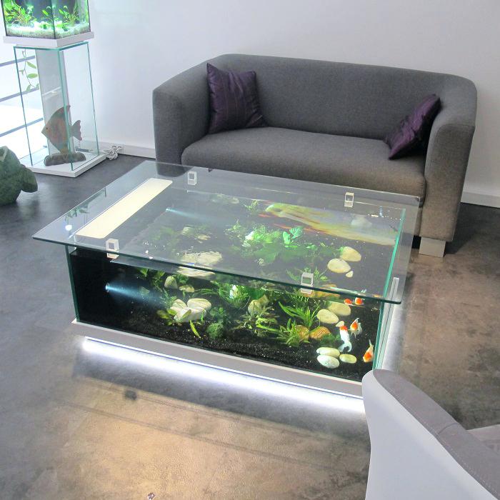 Aquarium sur table basse