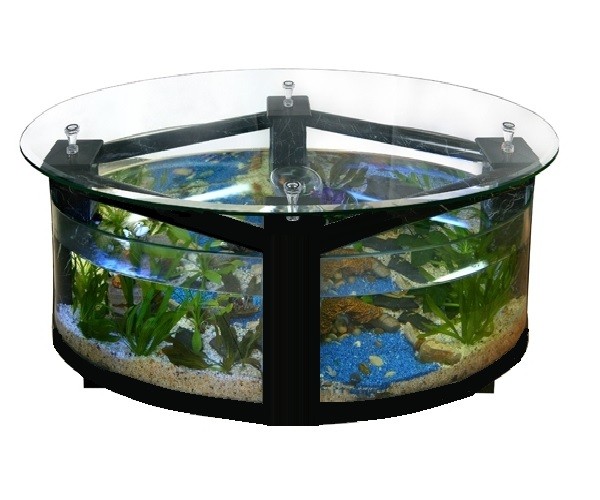 Table basse aquarium design