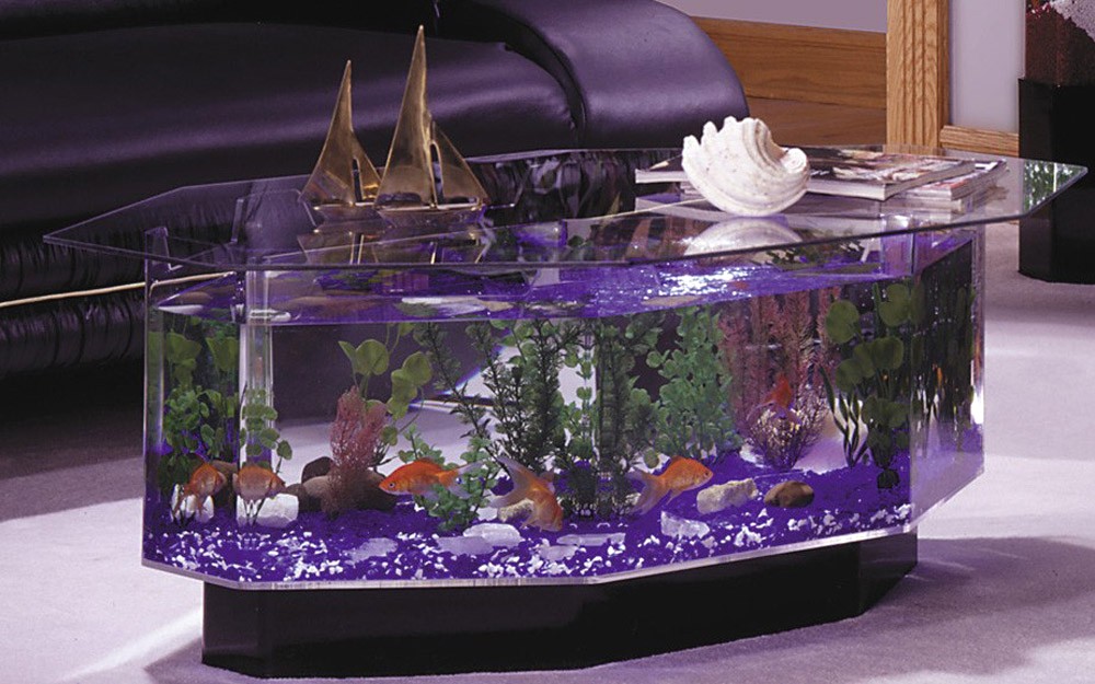 Table basse aquarium bois