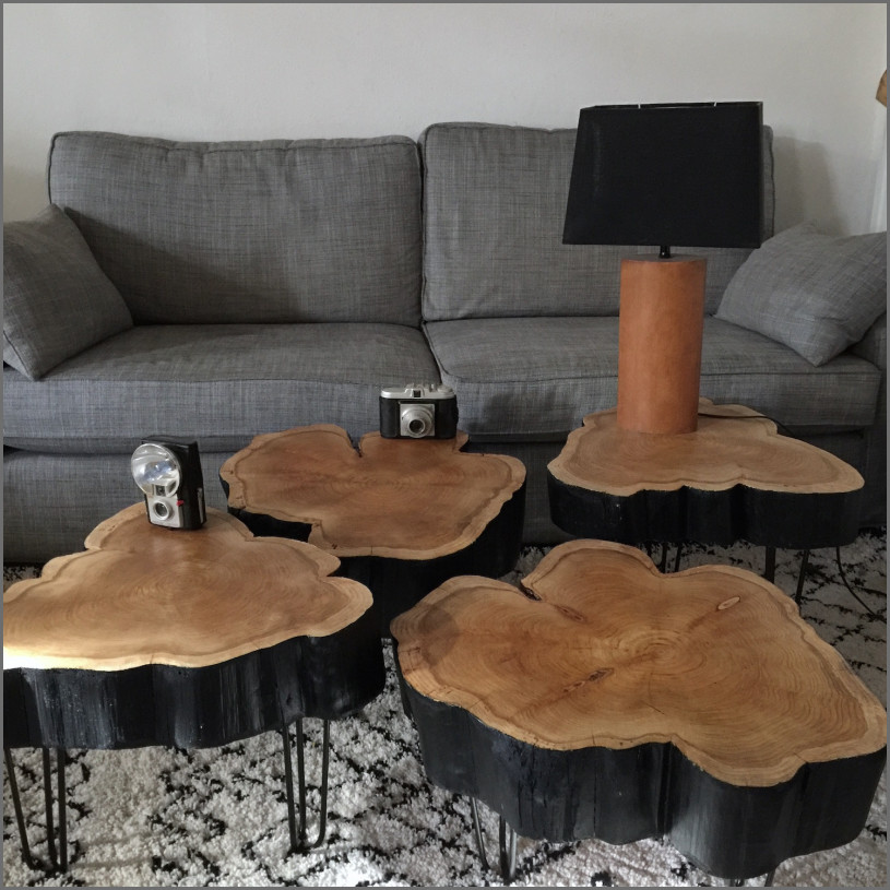Table basse design bois rondin