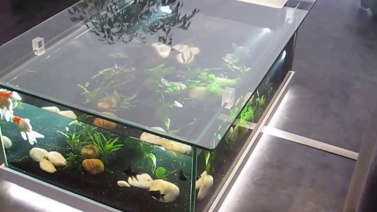 Table basse en verre avec aquarium