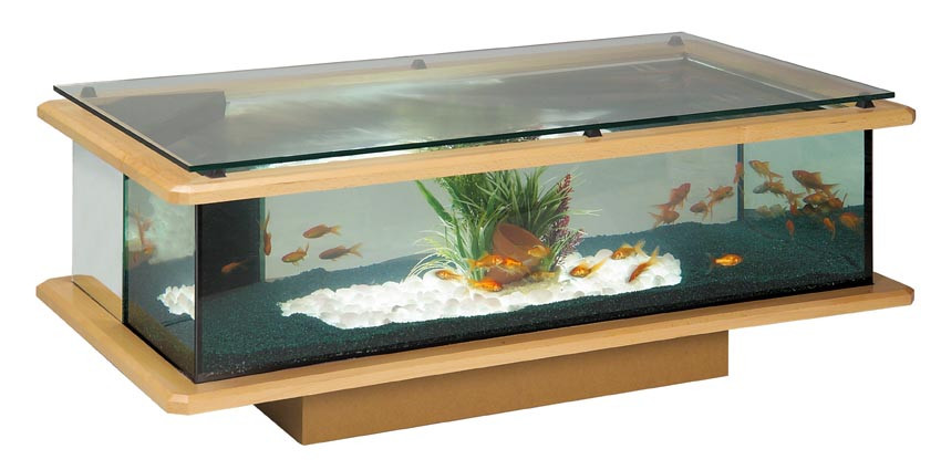 Table basse aquarium rectangulaire