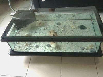 Table basse aquarium a vendre