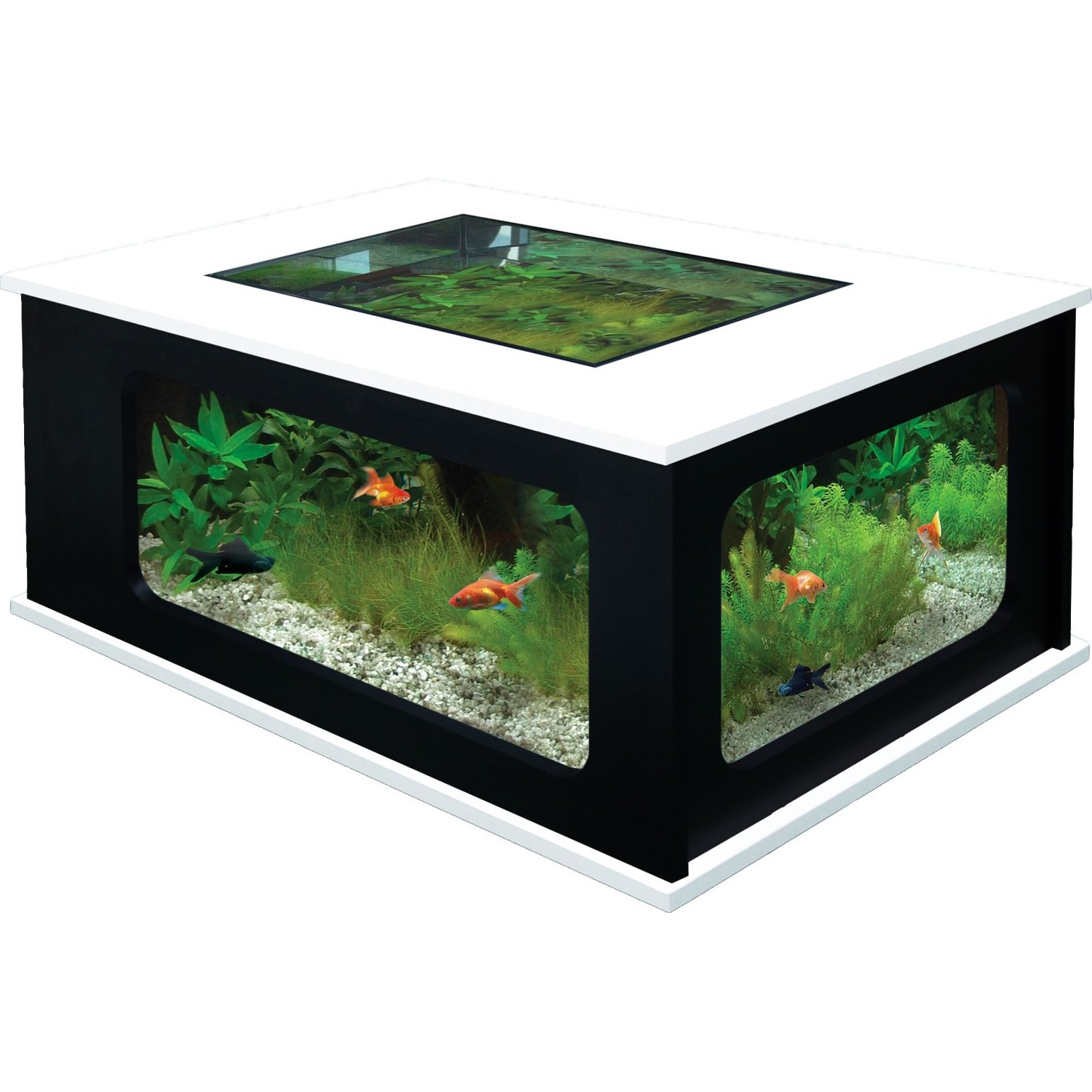 Table basse aquarium acheter